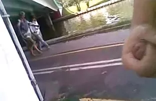 偽りのタクシーの猫ロール遊びのファンタジ ...