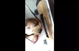 黒檀shemaleに革しがみつくへ彼女の ...